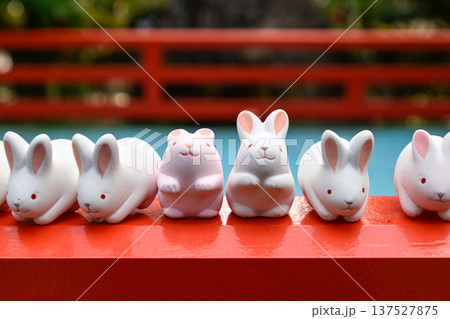 東天王 岡崎神社 うさぎみくじ 東天王 岡崎神社 うさぎみくじ 137527875