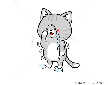 涙が溢れ出すネコちゃん 137527892