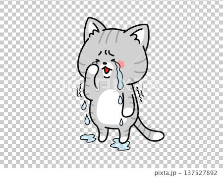 涙が溢れ出すネコちゃん 137527892
