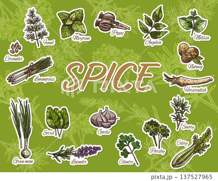 Cooking spices, herbs and food seasonings stickers pack. Vector sketch garlic, mint or melissa, coriander and poppy seeds. Hand drawn parsley and celery leaves, green onion, marjoram and nutmeg spices Cooking spices, herbs and food seasonings stickers pack. Vector sketch garlic, mint or melissa, coriander and poppy seeds. Hand drawn parsley and celery leaves, green onion, marjoram and nutmeg spices 137527965
