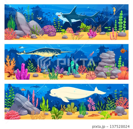 Game underwater landscape or seascape vector background coral reefs, seaweeds, rocks, tropical fish and large sea mammals. Hammerhead shark, narwhal and white beluga among fish and starfish 137528024