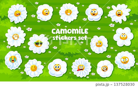 Chamomile daisy flowers characters face stickers pack. Spring flower character vector patch, summer daisy personages. Blooming chamomile sticker with laughing, sad, crazy and foolish, surprised face Chamomile daisy flowers characters face stickers pack. Spring flower character vector patch, summer daisy personages. Blooming chamomile sticker with laughing, sad, crazy and foolish, surprised face 137528030