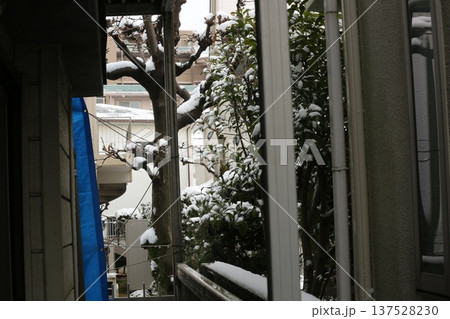 初雪 初雪 137528230