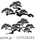 松　枝　手書きの毛筆イラスト 137528244