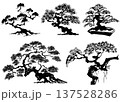 松　盆栽　手書きの毛筆イラスト 137528286