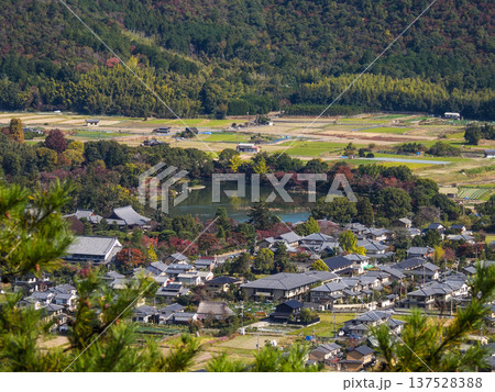 大覚寺　大沢池 137528388