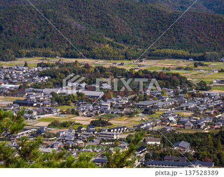 大覚寺 大沢池 大覚寺 大沢池 137528389