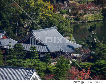 大覚寺 137528390