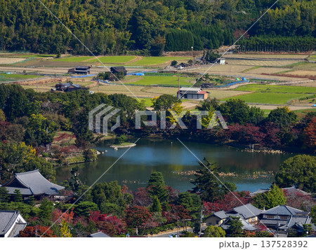 大覚寺　大沢池 137528392