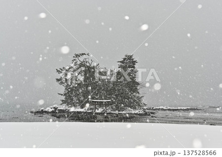 恋路海岸の雪景色 恋路海岸の雪景色 137528566