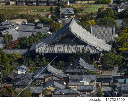 小倉山山頂から望む清凉寺（嵯峨釈迦堂） 137528600