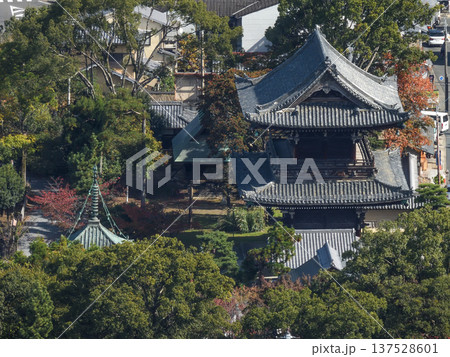 小倉山山頂から望む清凉寺(嵯峨釈迦堂) 小倉山山頂から望む清凉寺(嵯峨釈迦堂) 137528601