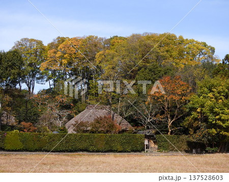 向井去来の草庵　落柿舎 137528603