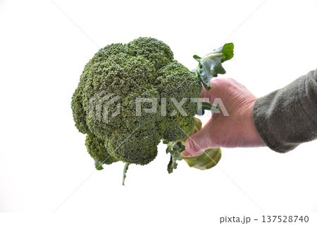 採れたて新鮮な野菜ブロッコリー 137528740