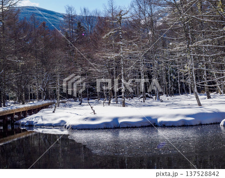 雪の御泉水自然園 雪の御泉水自然園 137528842