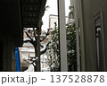 初雪 137528878