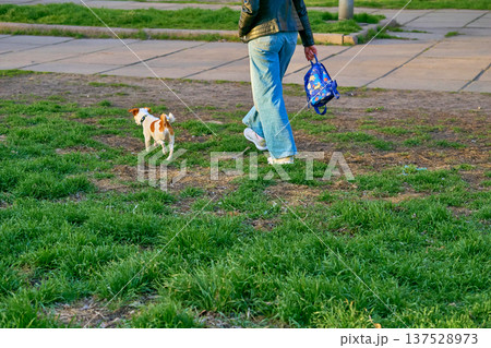 Woman with Jack Russell terrier returning from walk Woman with Jack Russell terrier returning from walk 137528973