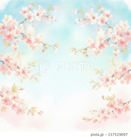 青空に映える桜の花 137529097