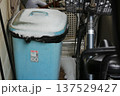 初雪 137529427