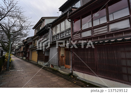冬の主計町茶屋街 137529512