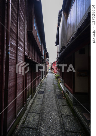 冬の主計町茶屋街 137529514