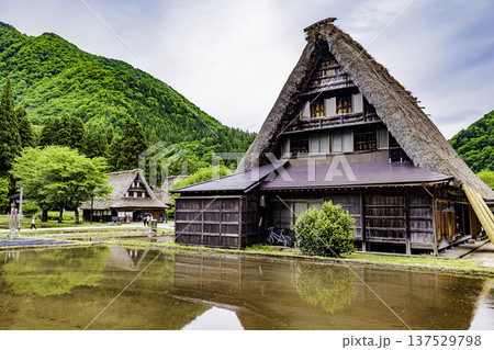 五箇山 菅沼集落の風景 五箇山 菅沼集落の風景 137529798