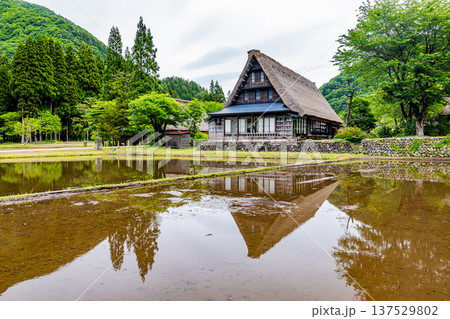 五箇山 菅沼集落の風景 五箇山 菅沼集落の風景 137529802