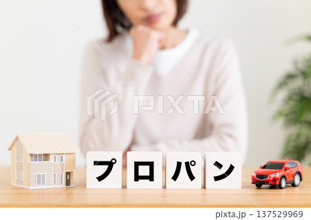 プロパンのブロックと悩むミドル女性 プロパンのブロックと悩むミドル女性 137529969