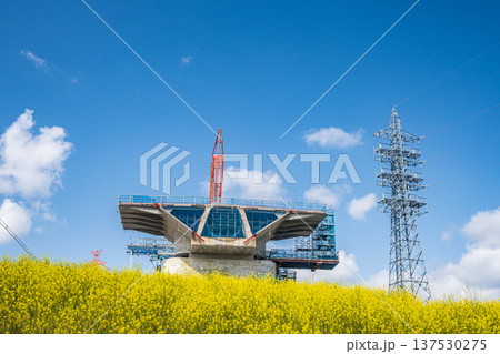 ナノハナ咲く淀川の堤防下から見上げる新名神高速道路工事　大阪府高槻市 137530275