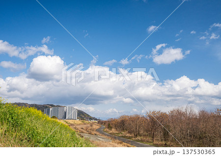 淀川右岸河川敷風景 大阪府高槻市 淀川右岸河川敷風景 大阪府高槻市 137530365
