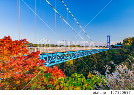 (茨城県)竜神大吊橋 紅葉 (茨城県)竜神大吊橋 紅葉 137530657