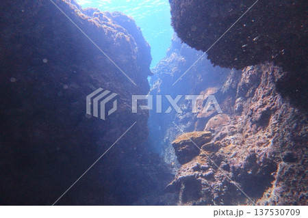 洞窟 鍾乳洞 岩窟 137530709