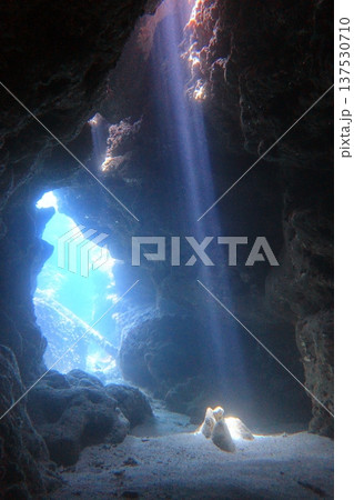 洞窟 鍾乳洞 岩窟 137530710