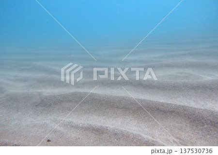 砂地 砂浜 ビーチ 137530736