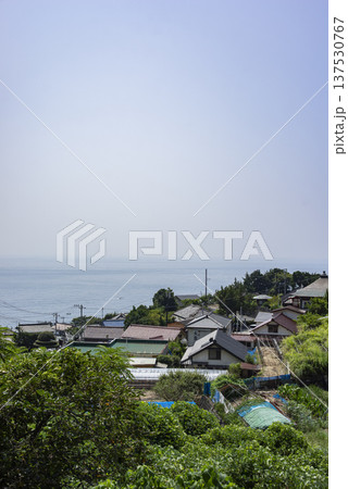 南伊豆町伊浜の街並み 南伊豆町伊浜の街並み 137530767