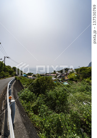 南伊豆町伊浜の街並み 137530769