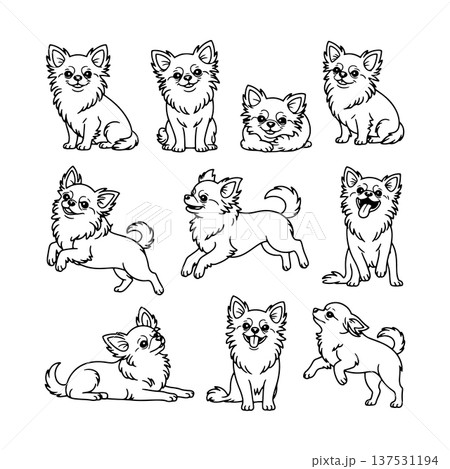 Fourteen different illustrations of playful and happy chihuahuas in various poses and expressions 137531194