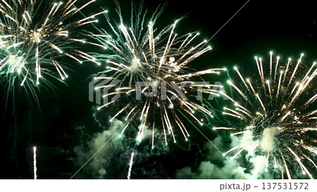 Green Firework celebrate anniversary happy new year 2024, 4th of july holiday festival. Green firework in night time celebrate national holiday. Countdown to new year 2025 festival party time event Green Firework celebrate anniversary happy new year 2024, 4th of july holiday festival. Green firework in night time celebrate national holiday. Countdown to new year 2025 festival party time event 137531572