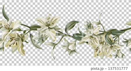 Template of seamless border of white lilies in watercolor clipart as a symbol of purity and innocence.Decoration for funeral,wedding,Communion,christening,decoration of religious printed products 137531777