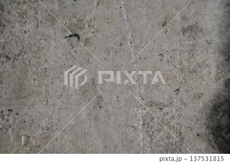 Textured Gray Concrete Surface Background 137531815