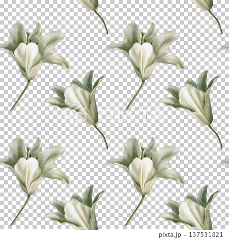 White lilies arranged in seamless pattern,symbolizing purity for first communion,weddings,funeral ceremonies.Watercolor washes,delicate details for religious events,memorials,sacred stationery White lilies arranged in seamless pattern,symbolizing purity for first communion,weddings,funeral ceremonies.Watercolor washes,delicate details for religious events,memorials,sacred stationery 137531821