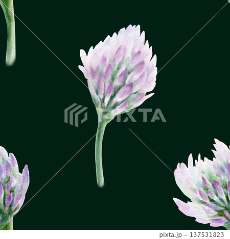 Clover soft lilac flower in seamless pattern symbolizing wedding grace and tender romance.Hand drawn watercolor in washes,fine detail for bridal stationery,spring celebrations,feminine design projects 137531823