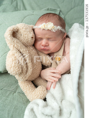 Infant scene in domestic interior highlights comfort and safety of early life stage. Newborn lifestyle content fits education and social projects. Infant scene in domestic interior highlights comfort and safety of early life stage. Newborn lifestyle content fits education and social projects. 137531916