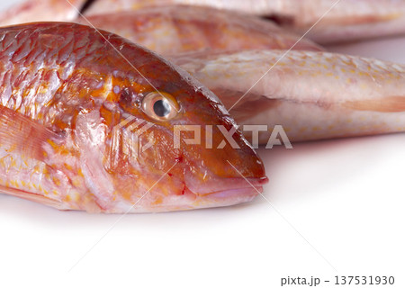 Red mullet 137531930