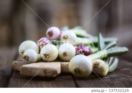 Fresh white and purple scallions stacked on small wooden board 137532129