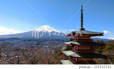 新倉山浅間神社と富士山 新倉山浅間神社と富士山 137532152