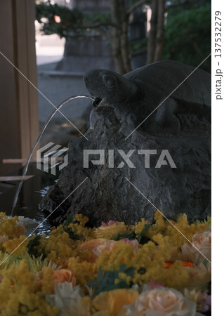 亀の手水舎 137532279