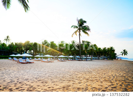 Tropical sand beach with palm trees on bright blue sky. Visitors relaxing on lounge chairs at sea. 137532282