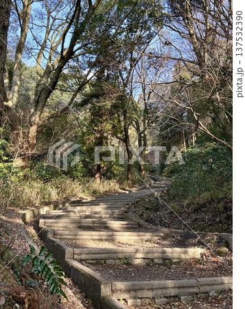 山へ続く道 137532390