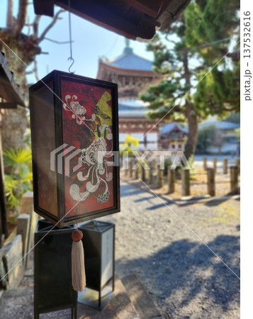 京都 尊陽院の境内に吊るされた和風の灯籠 京都 尊陽院の境内に吊るされた和風の灯籠 137532616
